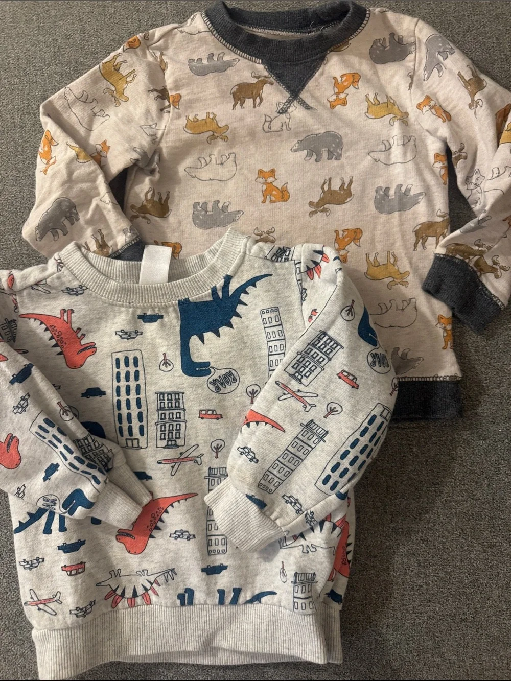 5/$15- Kids' Long-Sleeve Animal & Dino Sweatshirts - Gray/Beige